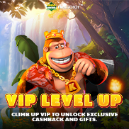 VIP Level Up